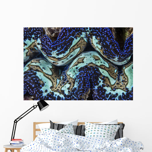 Detail Colorful Giant Clam Blue Wall Decal