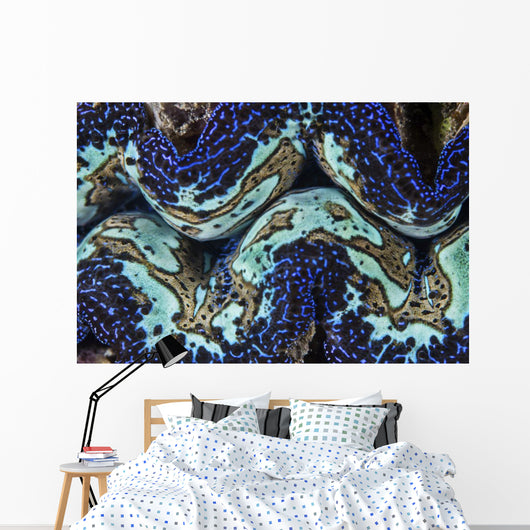 Detail Colorful Giant Clam Blue Wall Decal