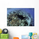 Beautiful and Fragile Coral with Ray Wall Decal