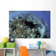 Beautiful and Fragile Coral with Ray Wall Decal