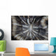 Detail Coral Polyp Growing Wall Decal