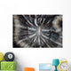 Detail Coral Polyp Growing Wall Decal
