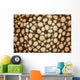 Detail Colorful Starfish Clinging Wall Decal