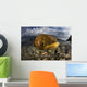 Beautiful Set Corals Grows Above Water Wall Decal