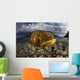 Beautiful Set Corals Grows Above Water Wall Decal