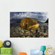 Beautiful Set Corals Grows Above Water Wall Decal