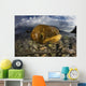 Beautiful Set Corals Grows Above Water Wall Decal