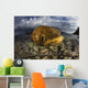 Beautiful Set Corals Grows Above Water Wall Decal