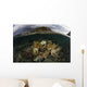 Beautiful Set Corals Grows Underwater Wall Decal