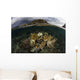 Beautiful Set Corals Grows Underwater Wall Decal