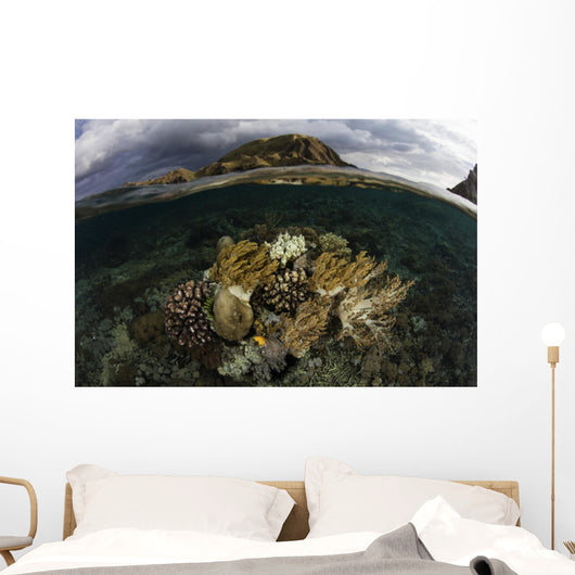 Beautiful Set Corals Grows Underwater Wall Decal