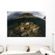 Beautiful Set Corals Grows Underwater Wall Decal