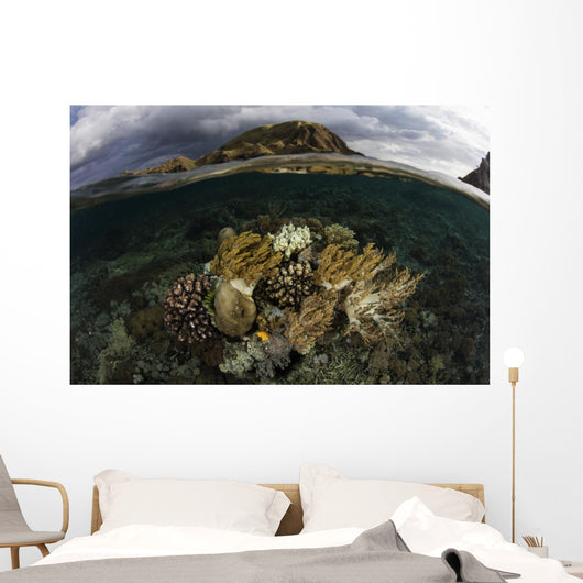 Beautiful Set Corals Grows Underwater Wall Decal