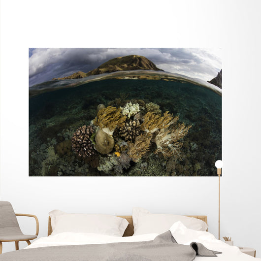 Beautiful Set Corals Grows Underwater Wall Decal