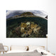 Beautiful Set Corals Grows Underwater Wall Decal