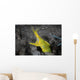 Female Ribbon Eel Sandy Wall Decal