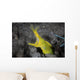 Female Ribbon Eel Sandy Wall Decal