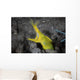 Female Ribbon Eel Sandy Wall Decal