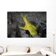 Female Ribbon Eel Sandy Wall Decal