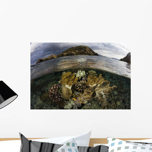 Beautiful Set Corals Grows Near Land Wall Decal