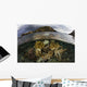 Beautiful Set Corals Grows Near Land Wall Decal