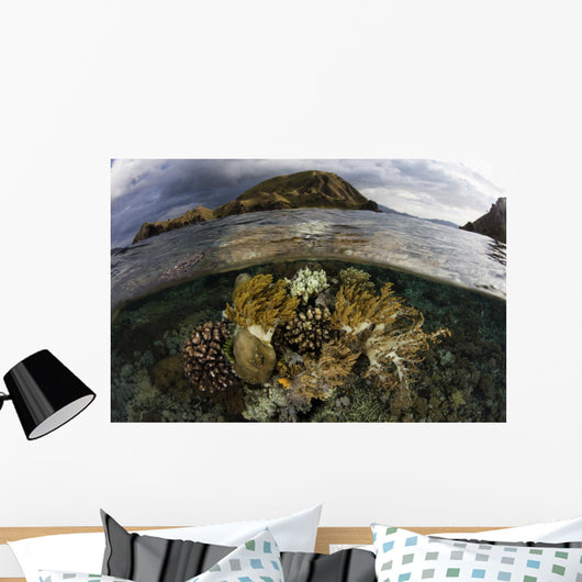 Beautiful Set Corals Grows Near Land Wall Decal