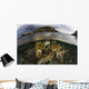 Beautiful Set Corals Grows Near Land Wall Decal