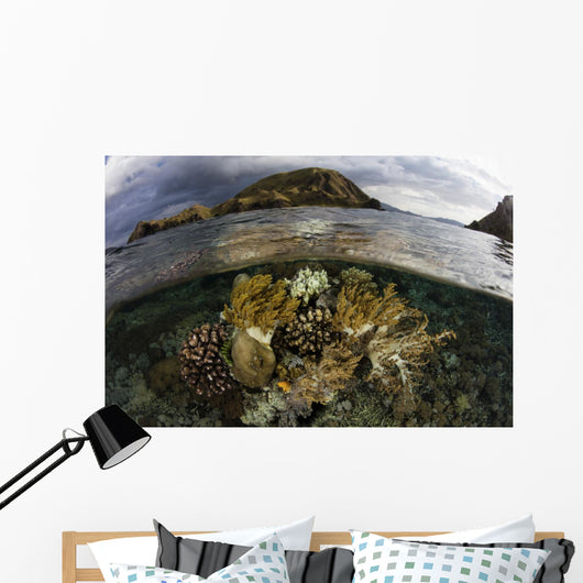 Beautiful Set Corals Grows Near Land Wall Decal