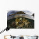Beautiful Set Corals Grows Near Land Wall Decal