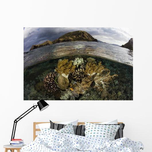 Beautiful Set Corals Grows Near Land Wall Decal