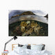 Beautiful Set Corals Grows Near Land Wall Decal