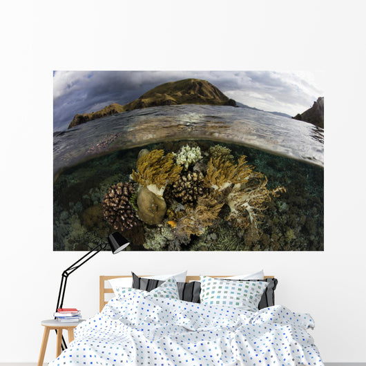Beautiful Set Corals Grows Near Land Wall Decal