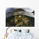 Beautiful Set Corals Grows Near Land Wall Decal
