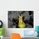 Female Ribbon Eel Sandy Front Face Wall Decal