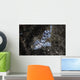 Barramundi Cod Swimming Wall Decal