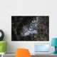 Barramundi Cod Swimming Wall Decal