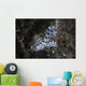 Barramundi Cod Swimming Wall Decal