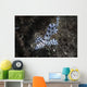 Barramundi Cod Swimming Wall Decal