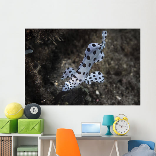 Barramundi Cod Swimming Wall Decal