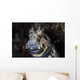 Jewelled Blenny near Alor Wall Decal