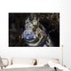 Jewelled Blenny near Alor Wall Decal