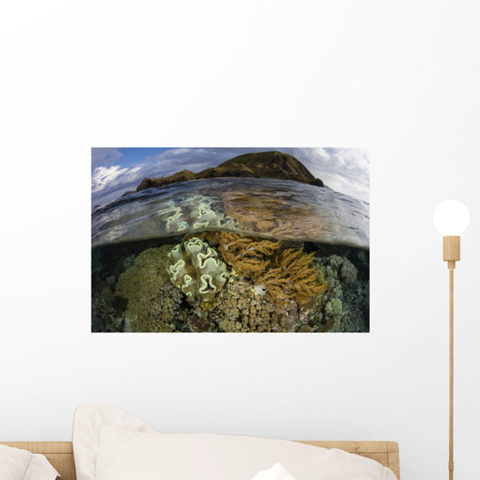 Beautiful Set Corals Grows Cloudy Sky Wall Decal