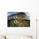 Beautiful Set Corals Grows Cloudy Sky Wall Decal