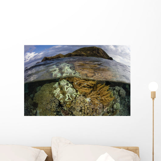 Beautiful Set Corals Grows Cloudy Sky Wall Decal