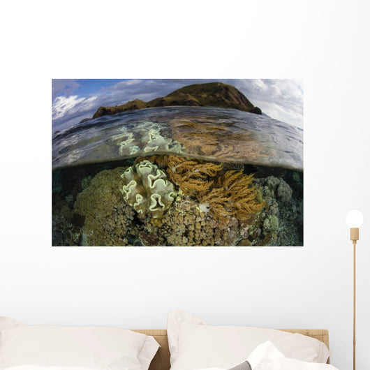Beautiful Set Corals Grows Cloudy Sky Wall Decal