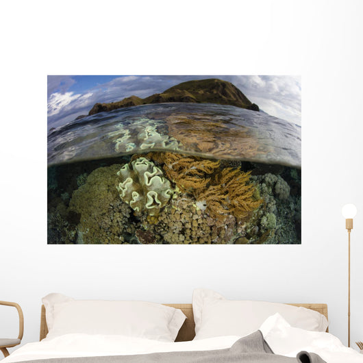 Beautiful Set Corals Grows Cloudy Sky Wall Decal
