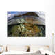 Beautiful Set Corals Grows Cloudy Sky Wall Decal
