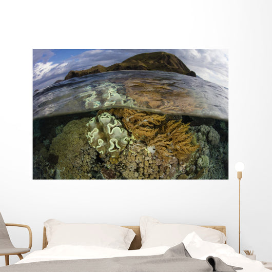Beautiful Set Corals Grows Cloudy Sky Wall Decal