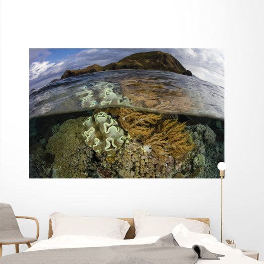 Beautiful Set Corals Grows Cloudy Sky Wall Decal