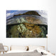 Beautiful Set Corals Grows Cloudy Sky Wall Decal